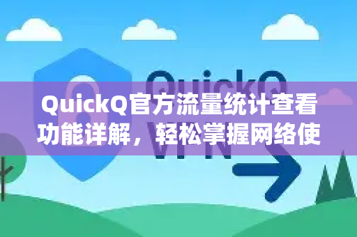 QuickQ官方流量统计查看功能详解，轻松掌握网络使用情况