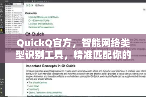QuickQ官方，智能网络类型识别工具，精准匹配你的上网需求